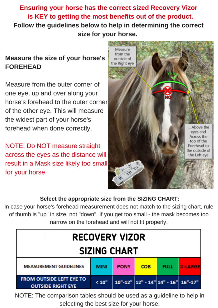 Equivizor Recovery Vizor Mesh Overlay