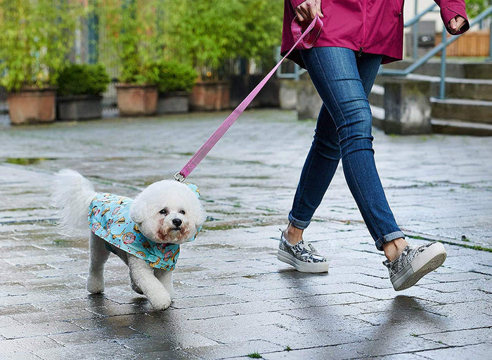 RC Pet Products Poncho de Lluvia para Perro Plegable, Caricatura, Cheat Day, Pequeño