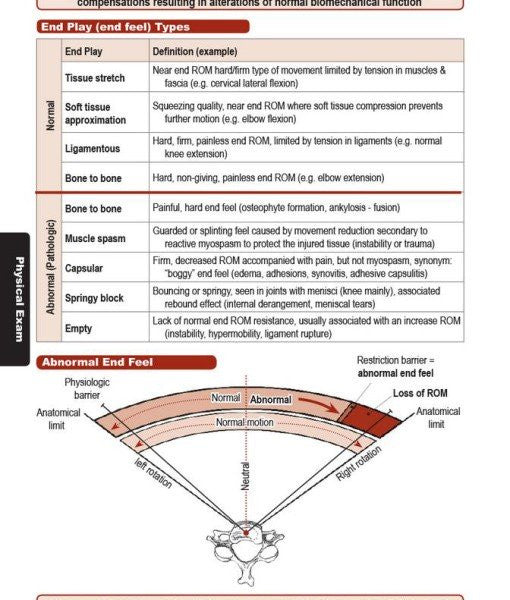 Spinal Manual Textbook