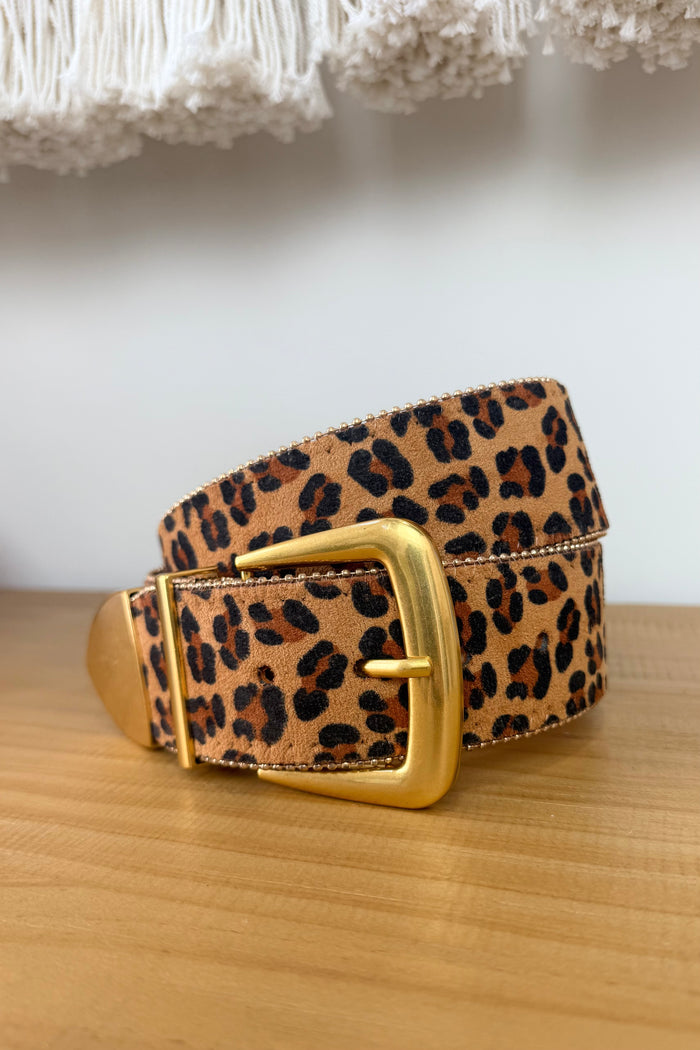 Cinch Club Belt