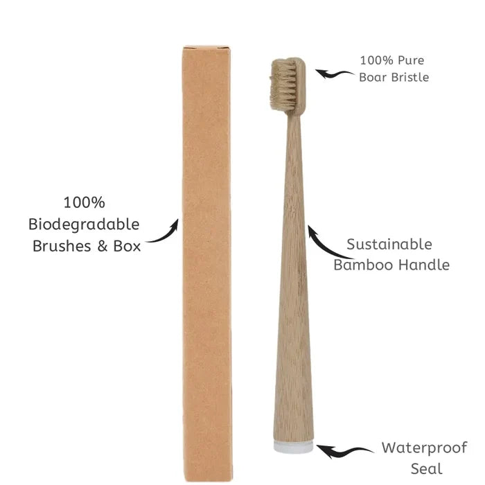 Bamboo Boar Bristle Toothbrush Set