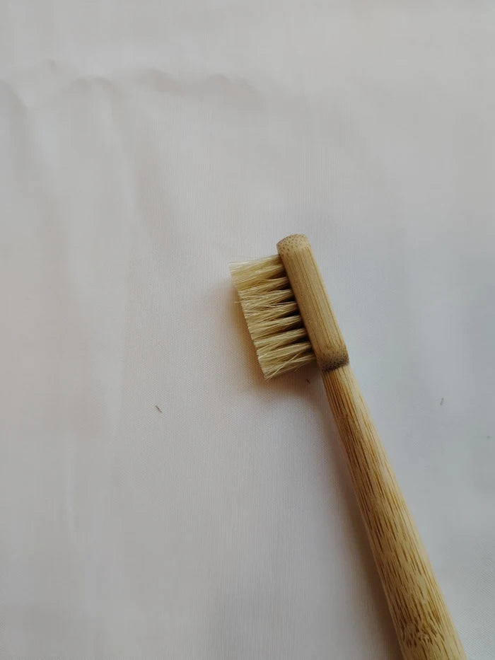 Bamboo Boar Bristle Toothbrush Set