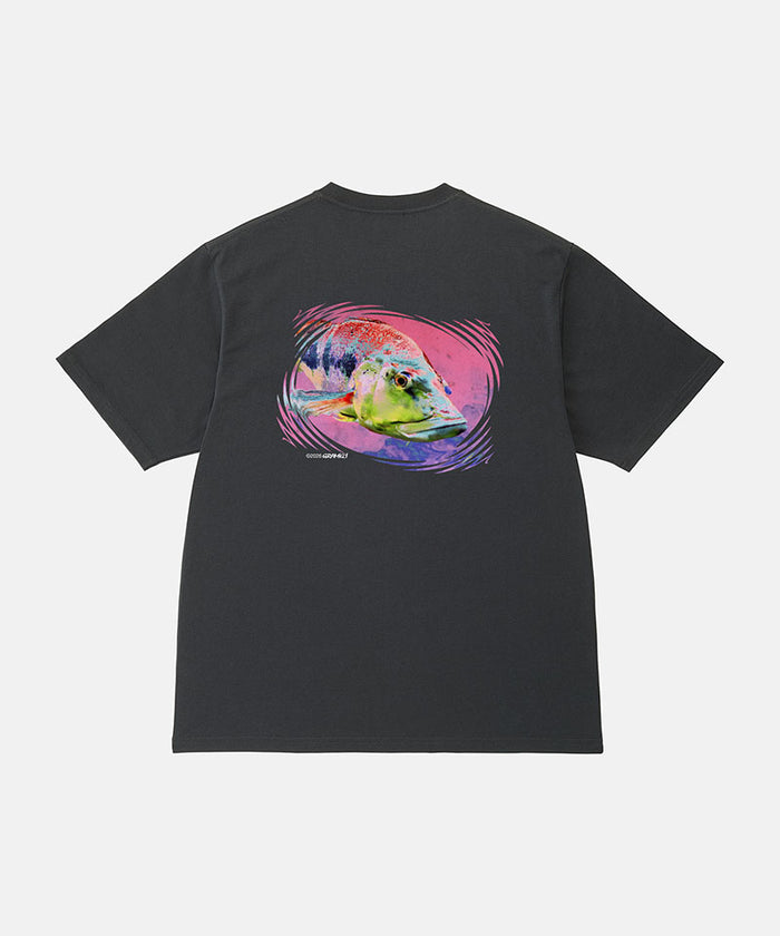 Back view of a Gramicci vintage black Bass Tee with a graphic against a light-tone background.