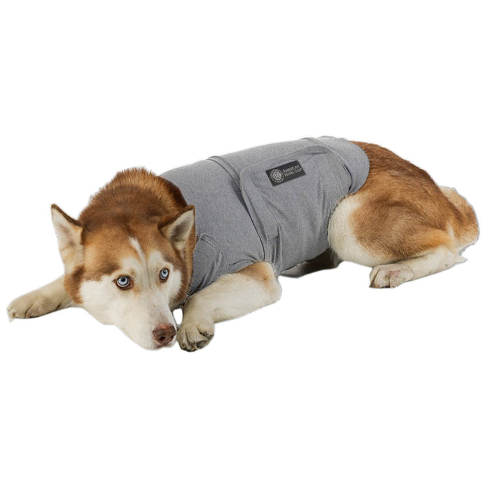 Bh Pet Gear Calm Coat Chest, Navy, 16-23"/Small