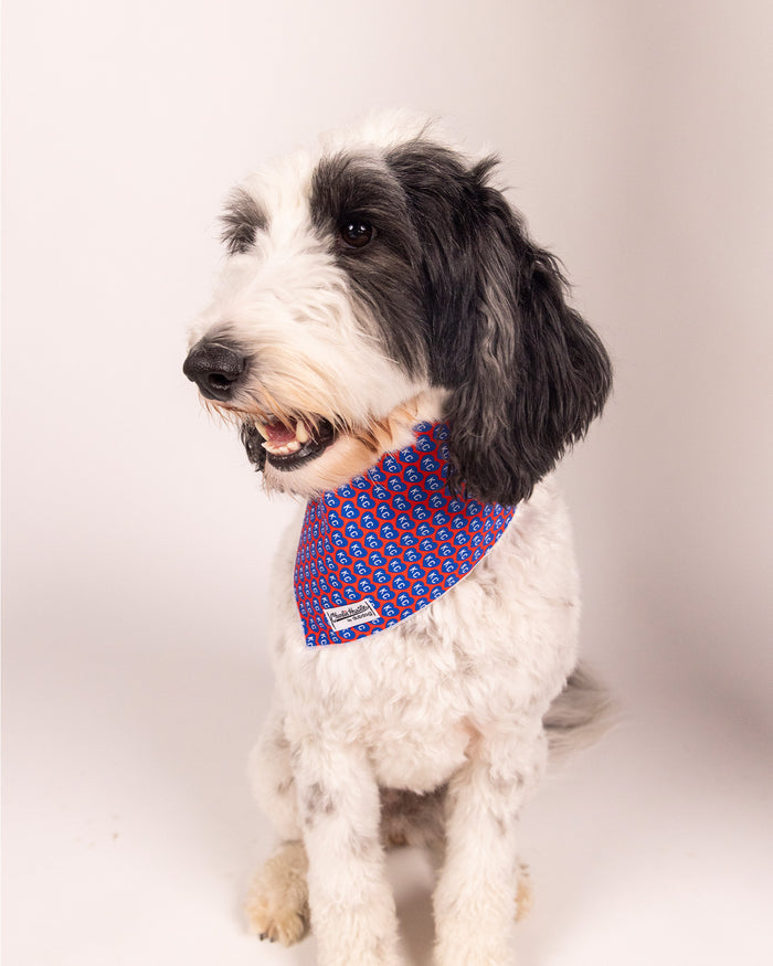Red KC Heart Navy Dog Bandana Model 2