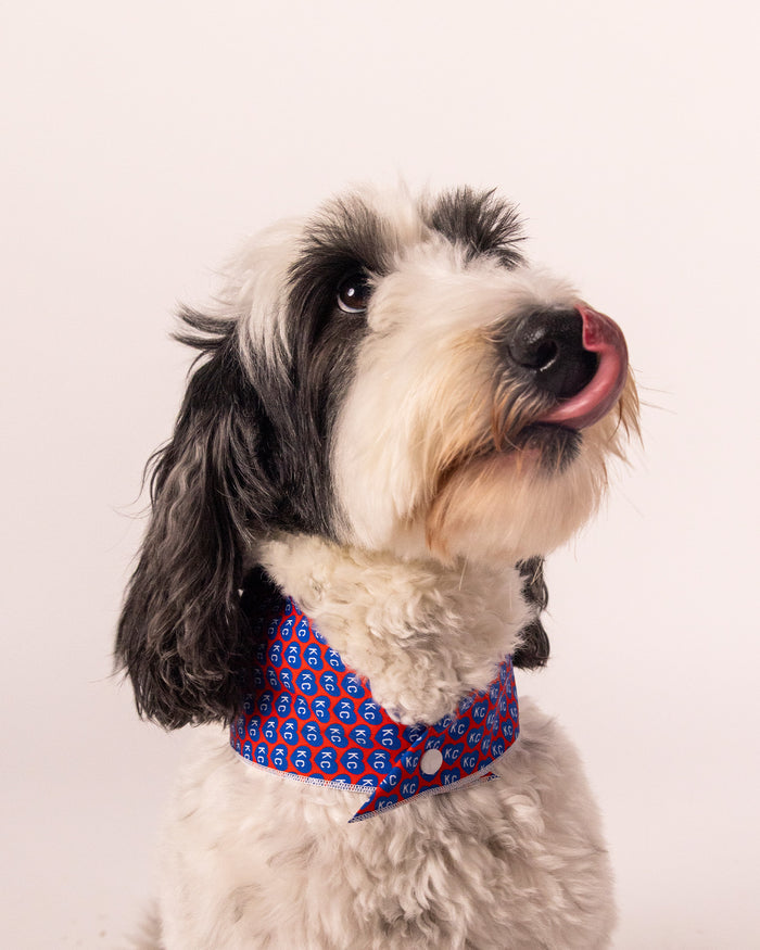 Red KC Heart Navy Dog Bandana Model