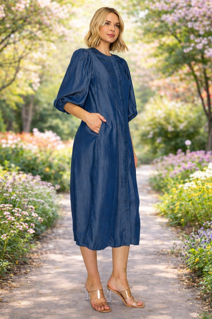 Chambray Denim Dress FINAL SALE