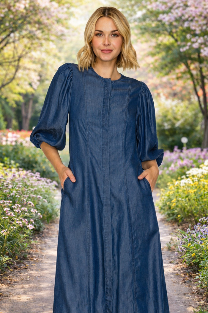 Chambray Denim Dress FINAL SALE