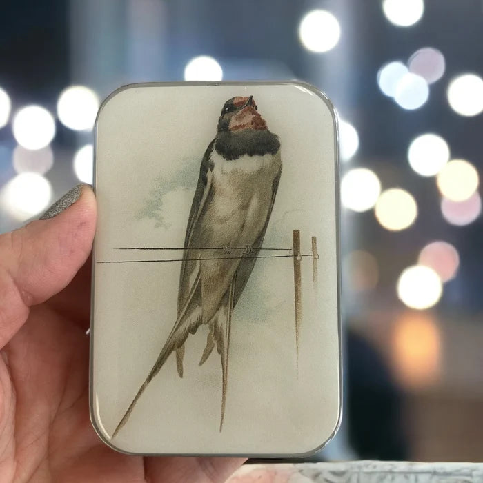 Firefly Notes - French Swallow