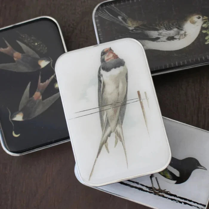 Firefly Notes - French Swallow