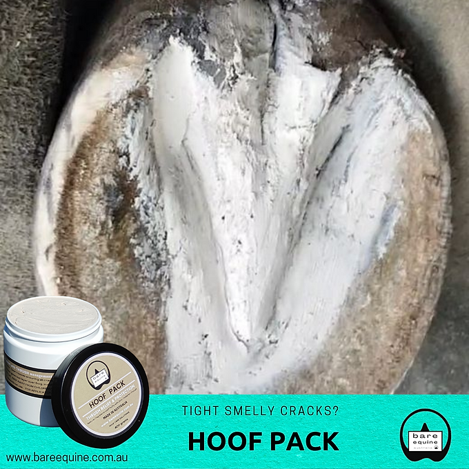 Hoof Pack - Hoof Clay for Thrush