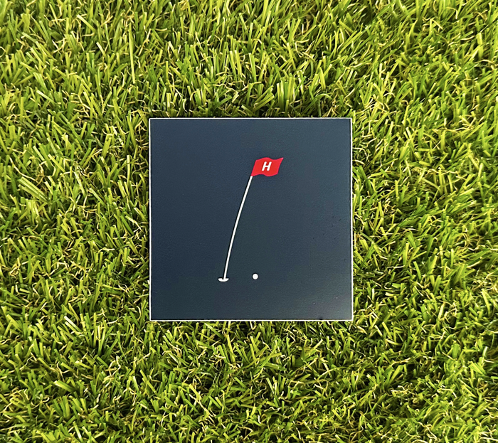 Hoolie Pin Flag Sticker
