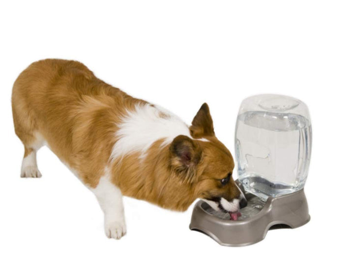 Petmate Pet Cafe Pet Waterer, 1/4 Gal, Pearl Lady Pink, Pearl Tan, 0.75 GAL