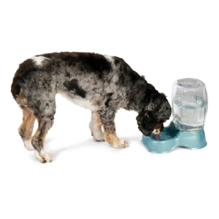 Petmate Pet Cafe Pet Waterer, 1/4 Gal, Pearl Lady Pink, Pearl Tan, 0.75 GAL
