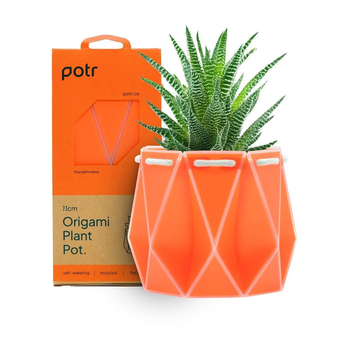 POTR Self Watering Origami Plant Pot - Coral &Keep