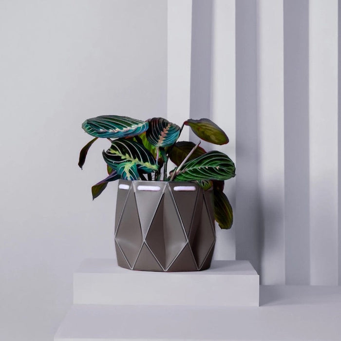 POTR Self Watering Origami Plant Pot - Slate Grey &Keep