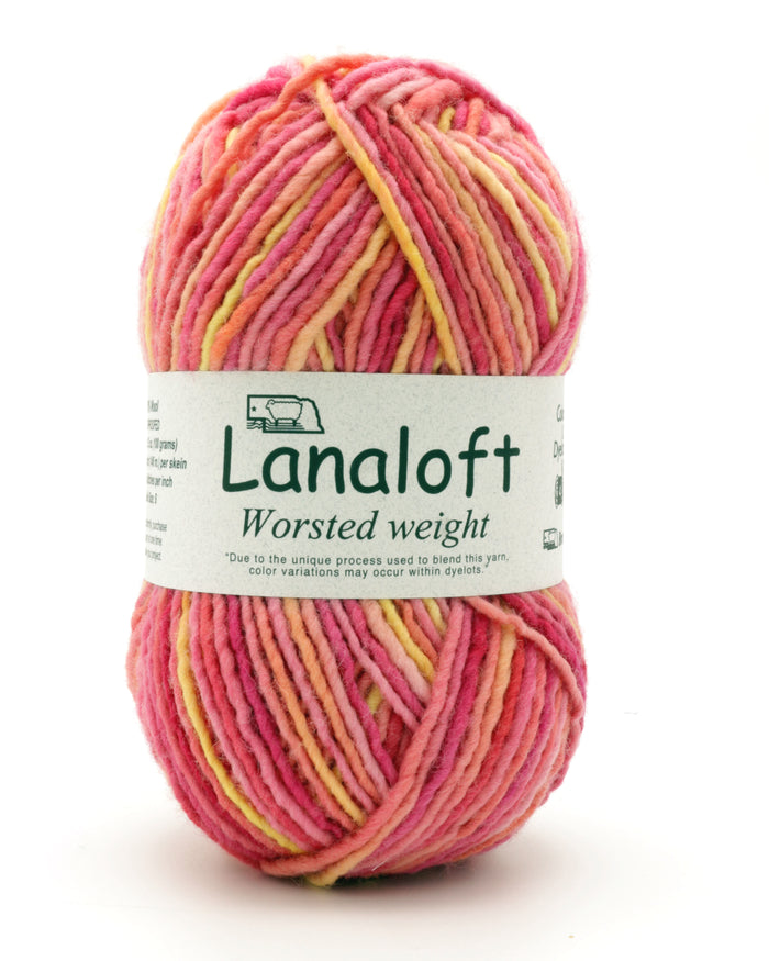 Brown Sheep Co - Lanaloft Worsted / Salt Water Taffy LL555