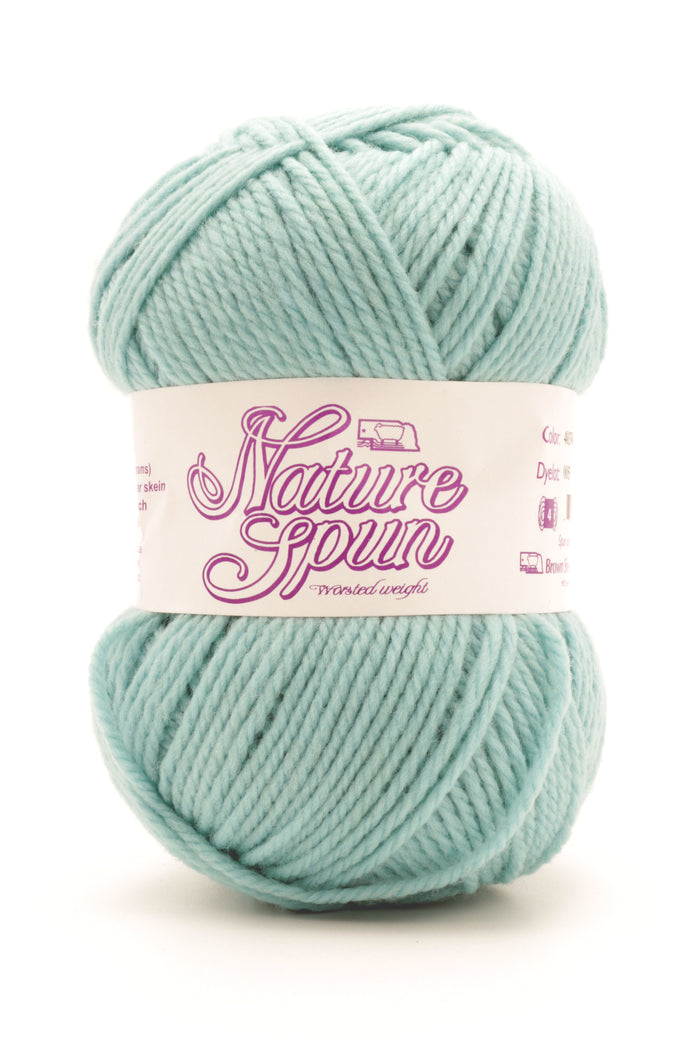 Brown Sheep Co. - NatureSpun Worsted / Child S/L  Adult S / Tropical Surf 403