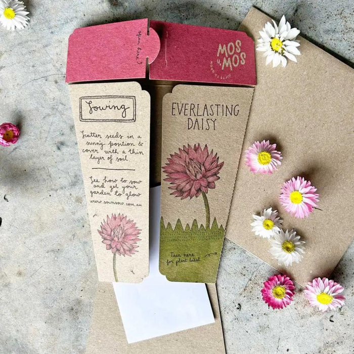 Go-For-Zero-Australia-Sow-N-Sow-Australia-Everlasting-Daisy-Seed-Gift-Open