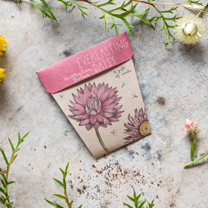 Go-For-Zero-Australia-Sow-N-Sow-Australia-Everlasting-Daisy-Seed-Gift-Styled