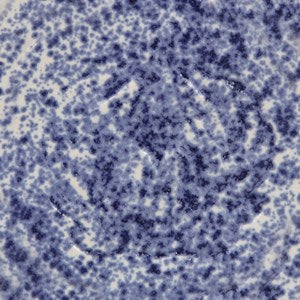 SW-152 Blue Splatterware