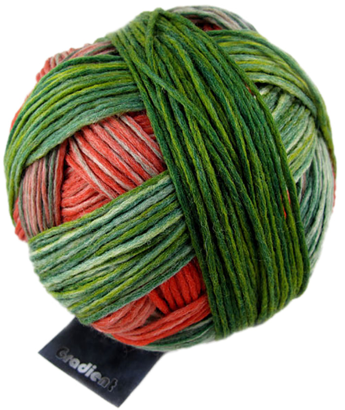 Youth / Schoppel - Gradient / Parrot 1701