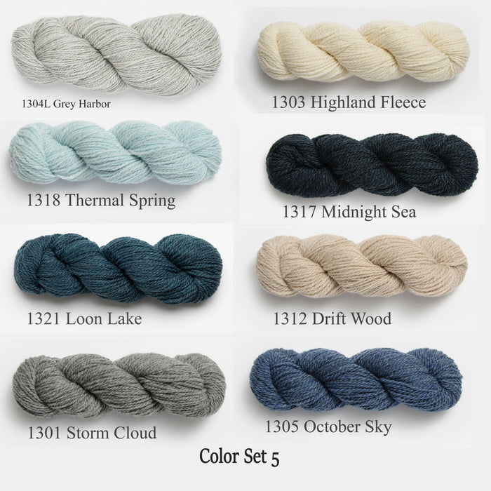 Blue Sky Fibers - Woolstok / Color Set 5 WS