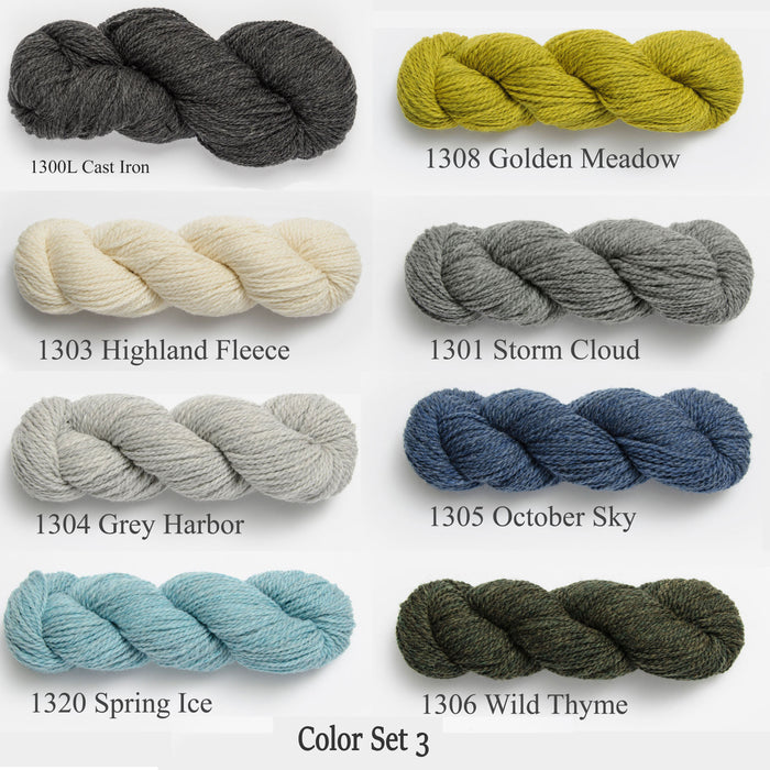 Blue Sky Fibers - Woolstok / Color Set 3 WS