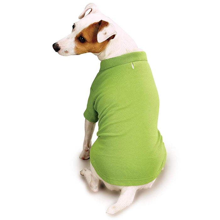 Zack & Zoey - Polo de algodón para Perros, Polo para Perro, Verde perico, X-Large